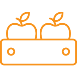 Apples - 10 lbs