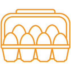 Eggs - 2 Dozen
