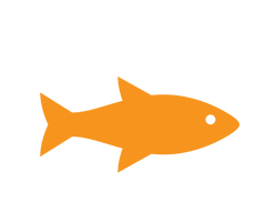 Canned Tuna - 12 PK